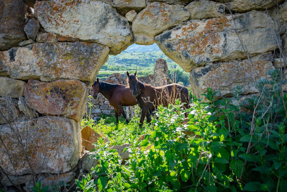 Фотография автора Оксана Белозерская