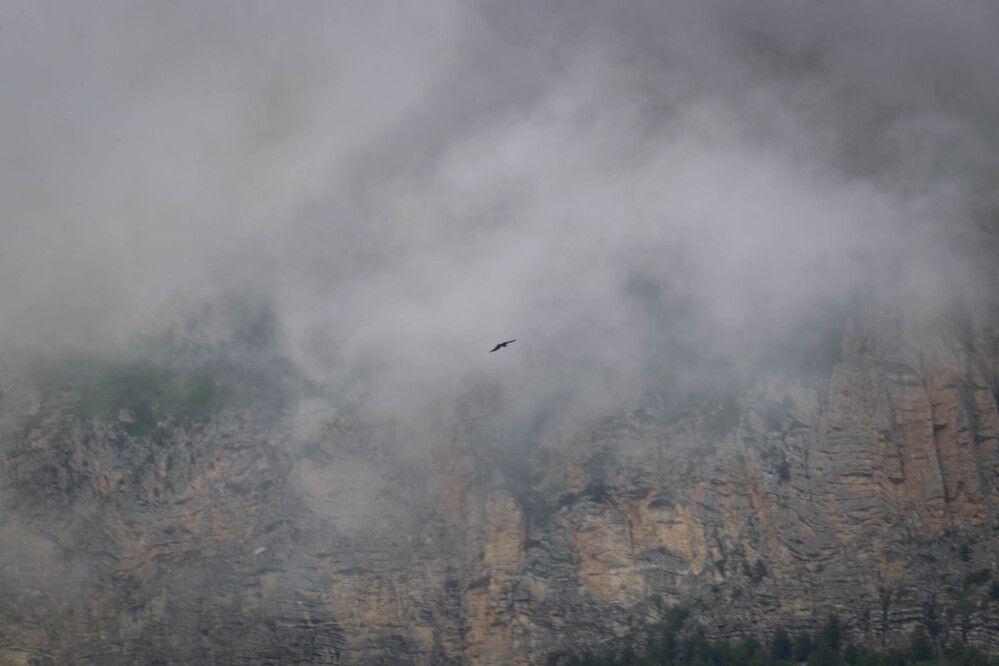 Фотография автора Оксана Белозерская