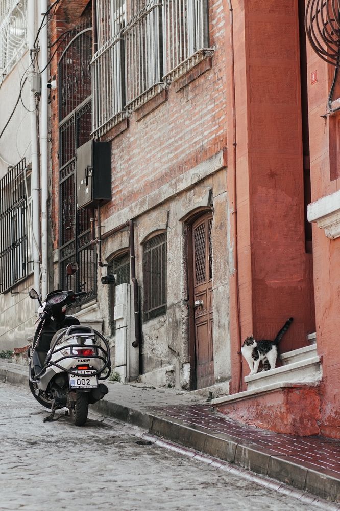 Photograph by Анастасия Лидяева