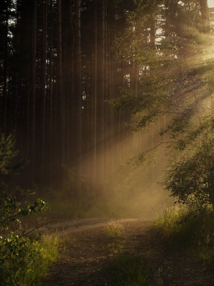 Photograph by Игорь Максимов