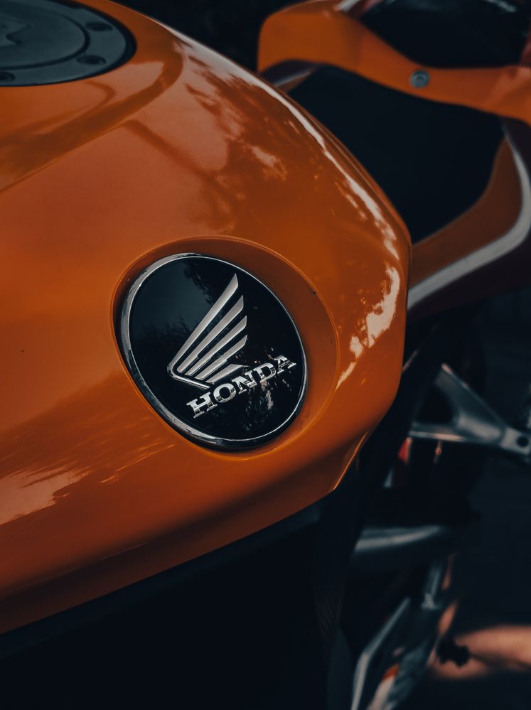 Photograph by Dhruv Mistry