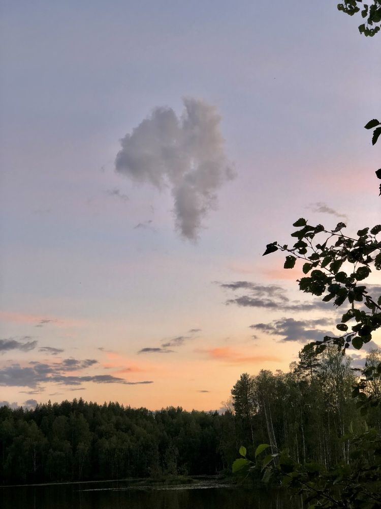 Photograph by Олеся Семёнова