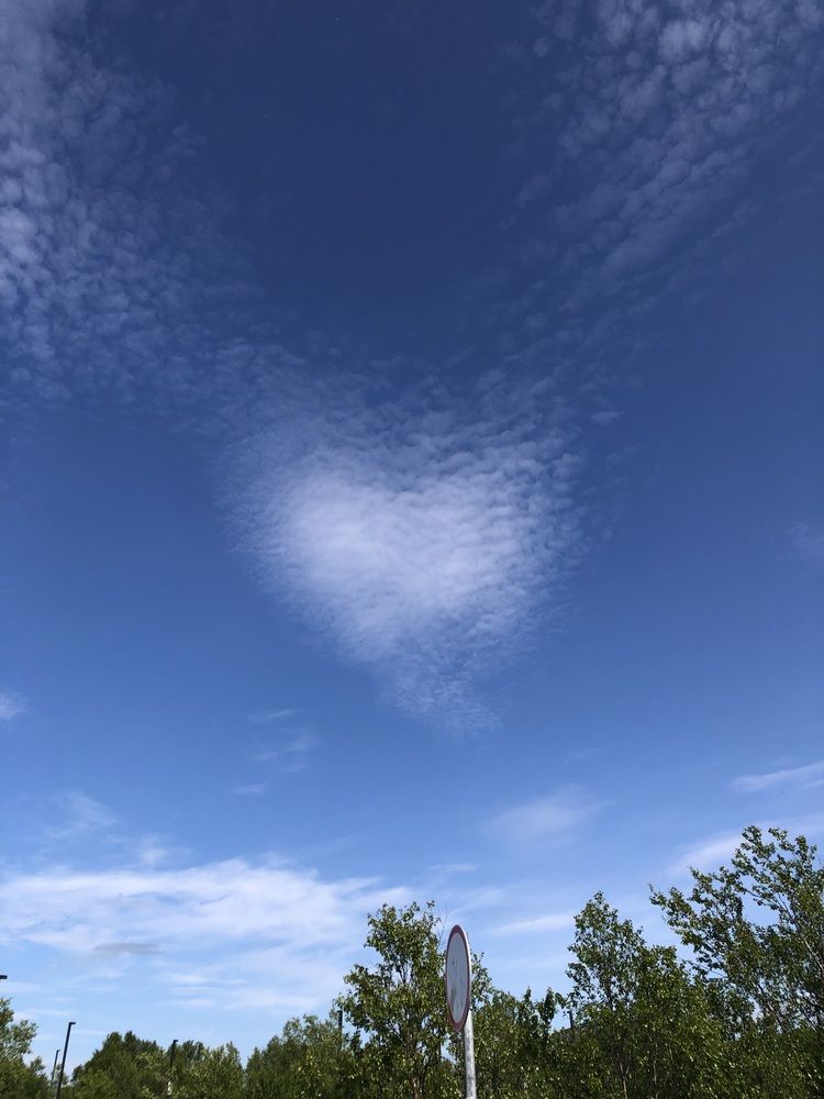 Photograph by Олеся Семёнова