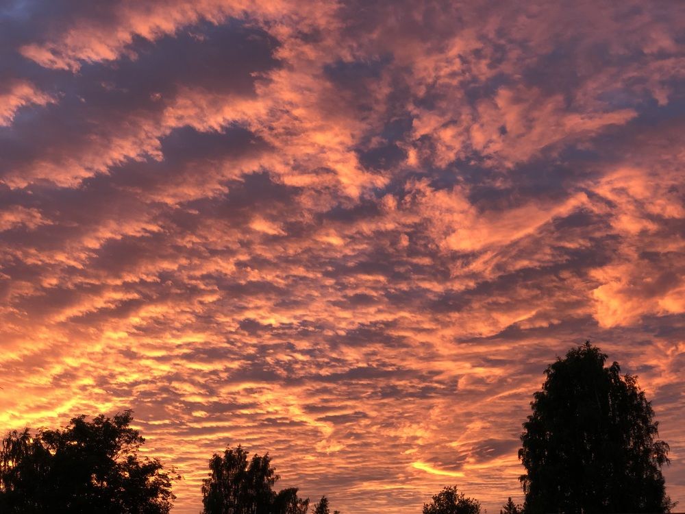 Photograph by Олеся Семёнова