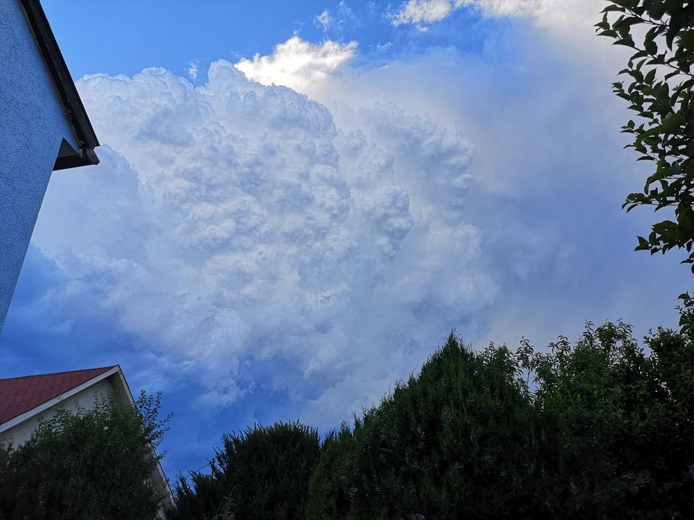 Photograph by Marina Razheva