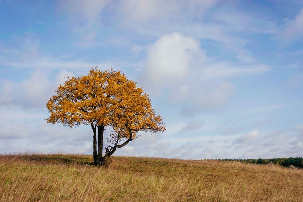 Photograph by Светлана Филипеня