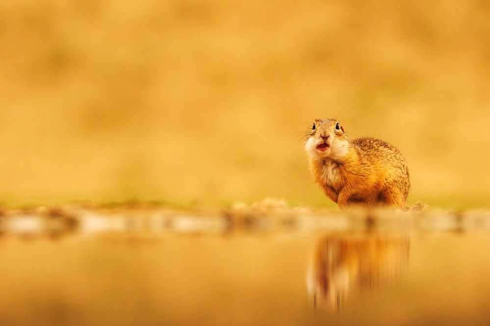 Photograph by Chris Brain