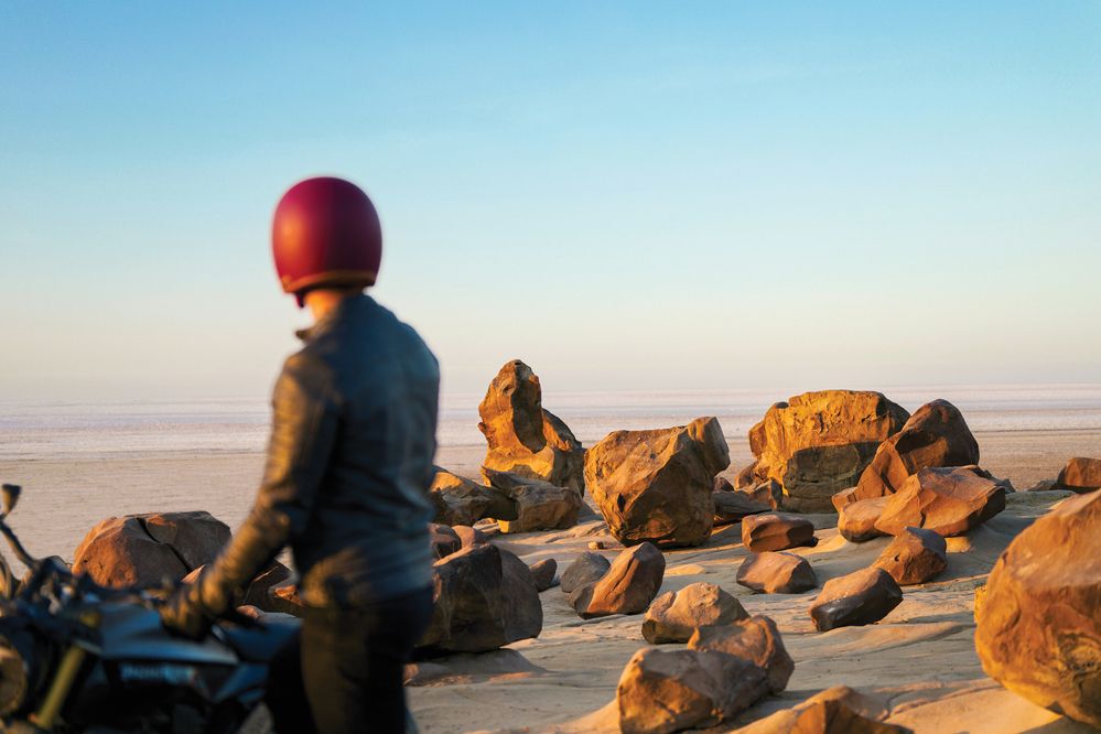 The Rider and the Fossils