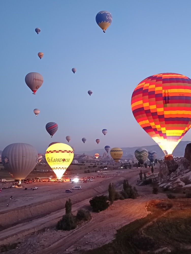 Фотография автора Елена Александрова