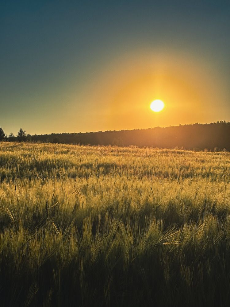 Photograph by Ivan Veselnikov