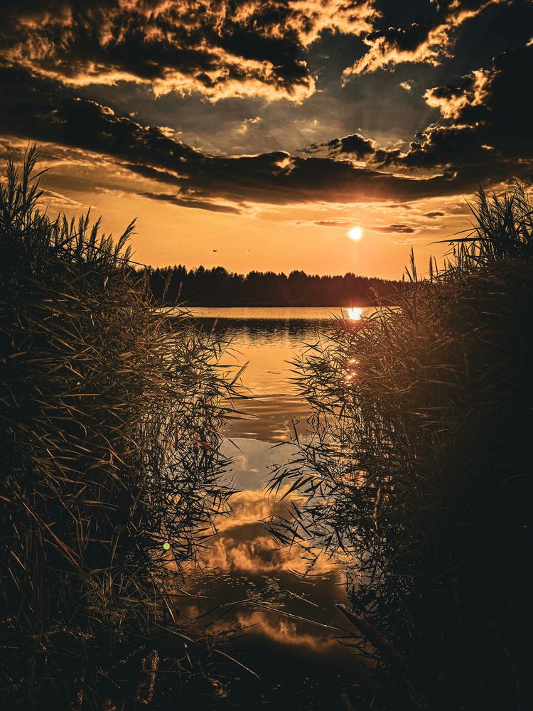 Photograph by Иван Весельников