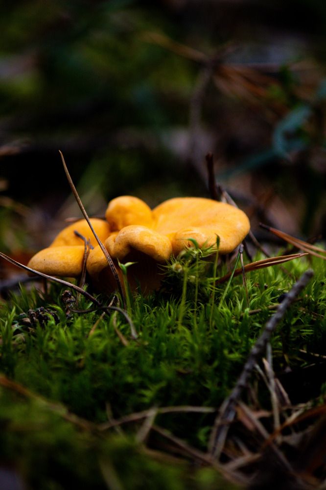 Photograph by Иван Весельников