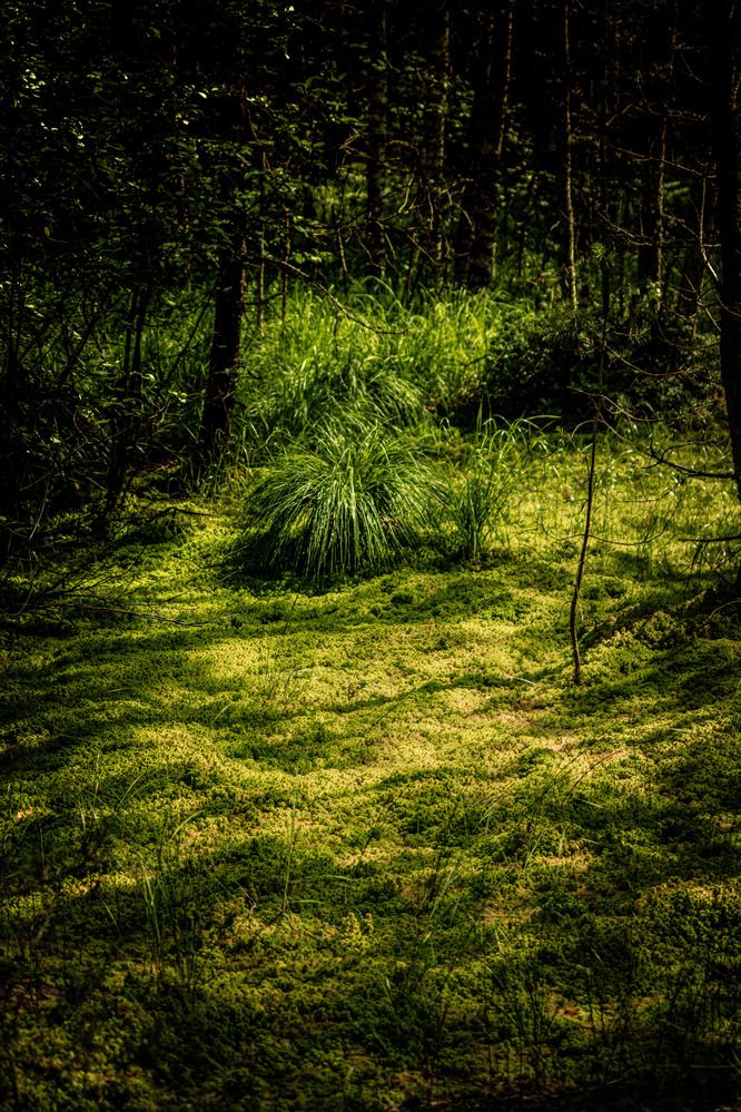 Photograph by Ivan Veselnikov