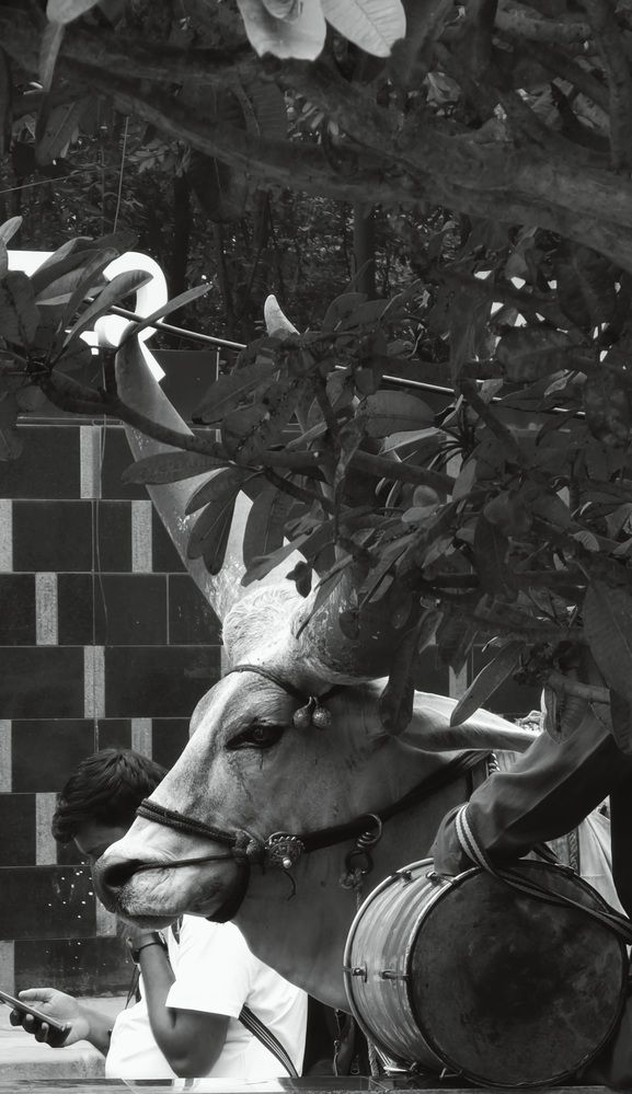 Photograph by Mahesh MV