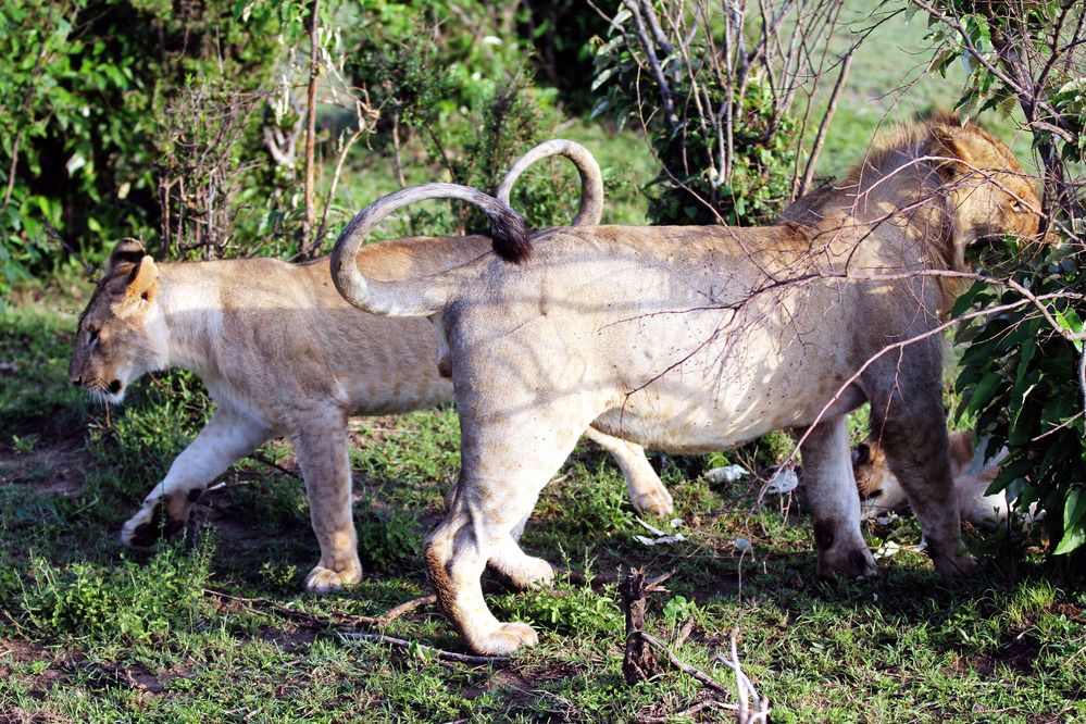 Photograph by Вячеслав Залитко