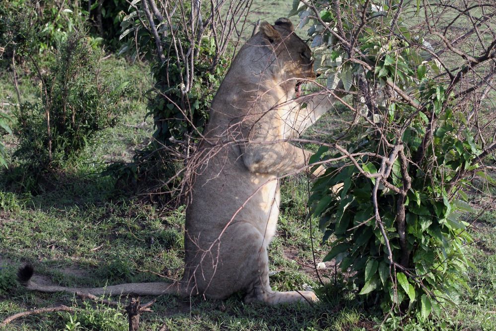Photograph by Вячеслав Залитко