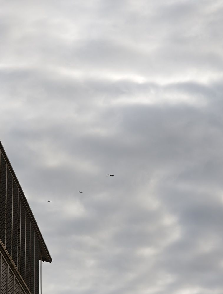 Photograph by Mahesh MV