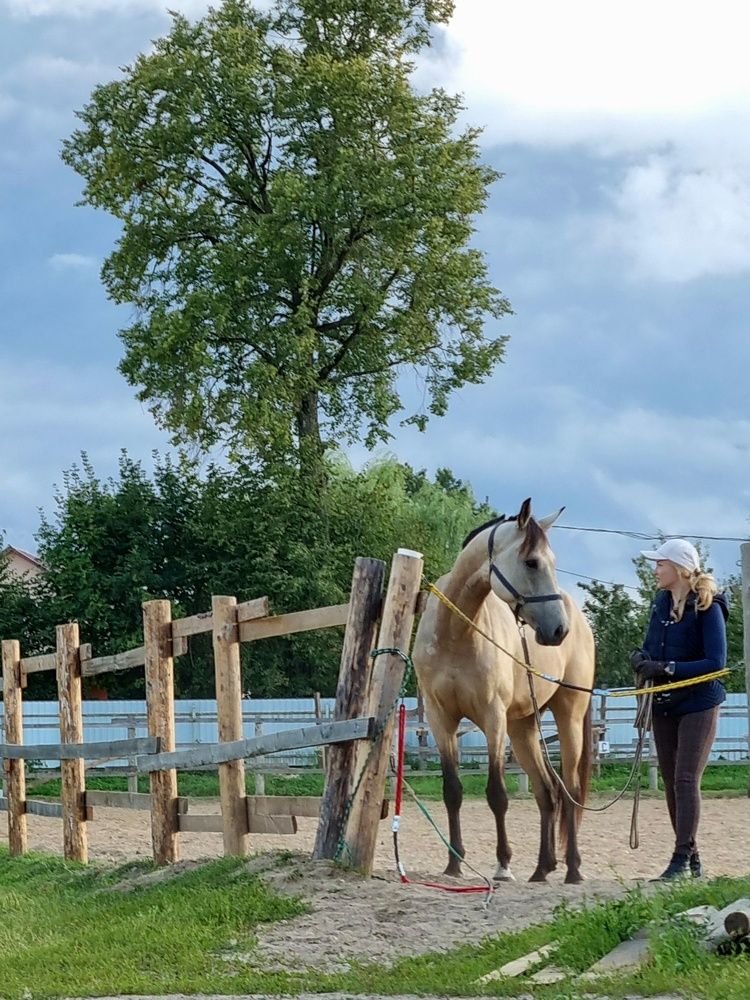 Photograph by Natasha