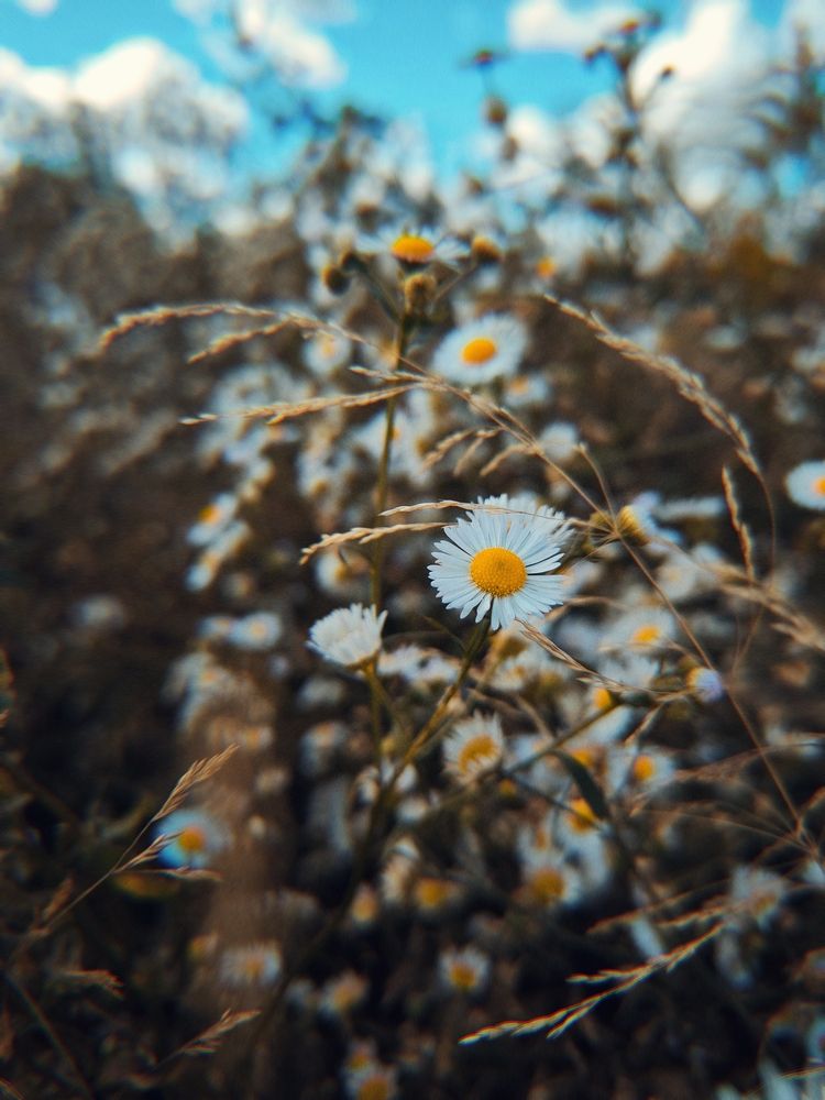 Photograph by Илья Андреев