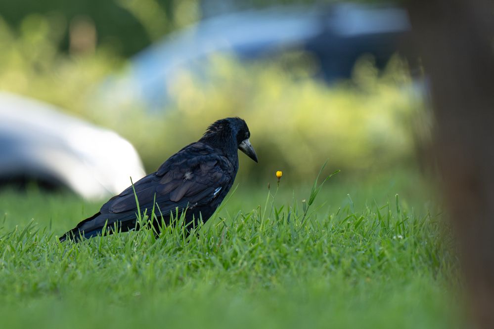 Photograph by Сергей Малинкин