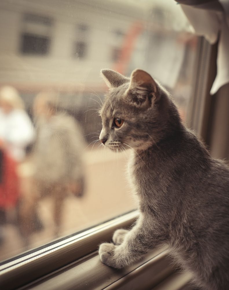 Photograph by Helena Proshkina