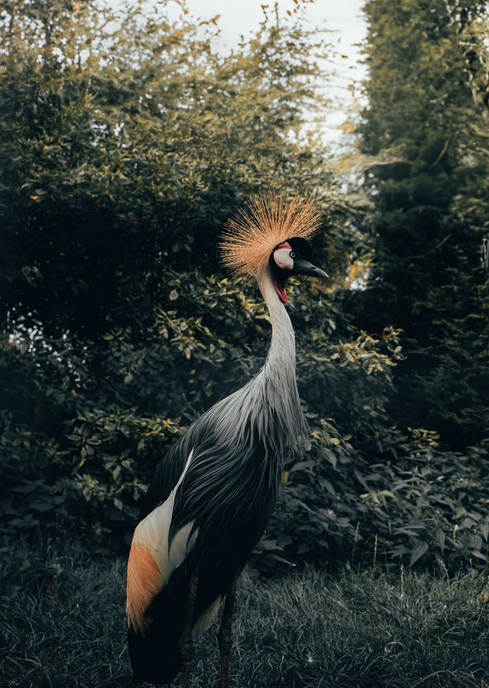 Photograph by Михаил Лапшин