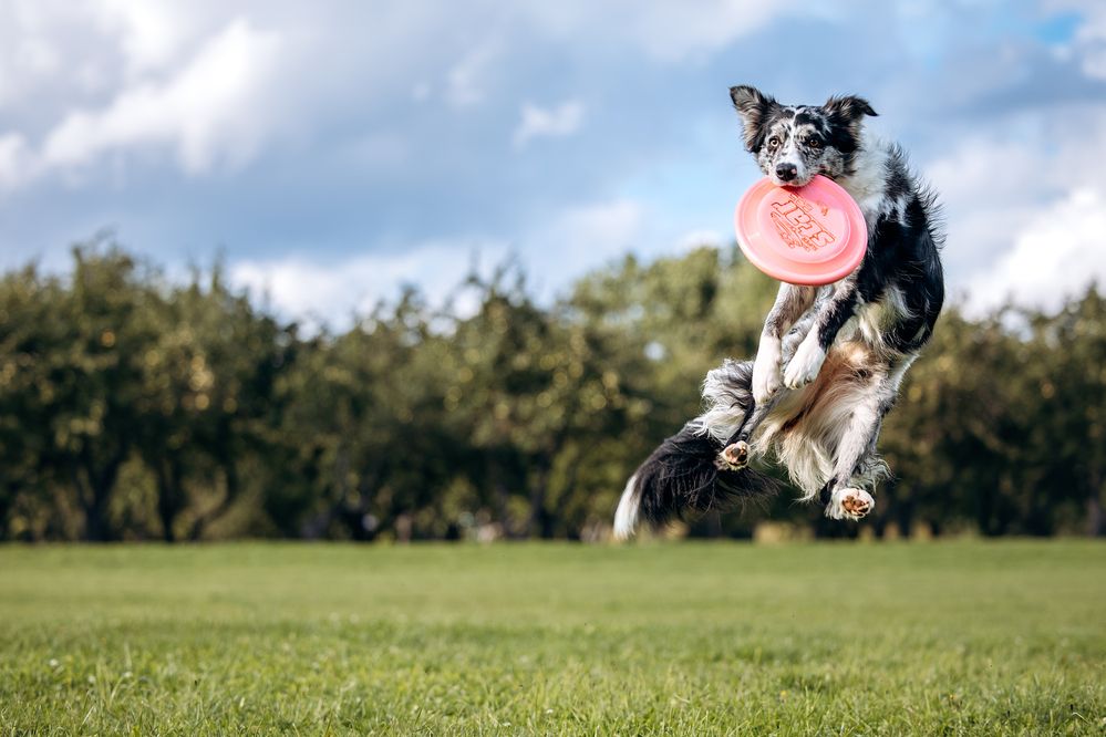 Photograph by Анастасия Жучкова