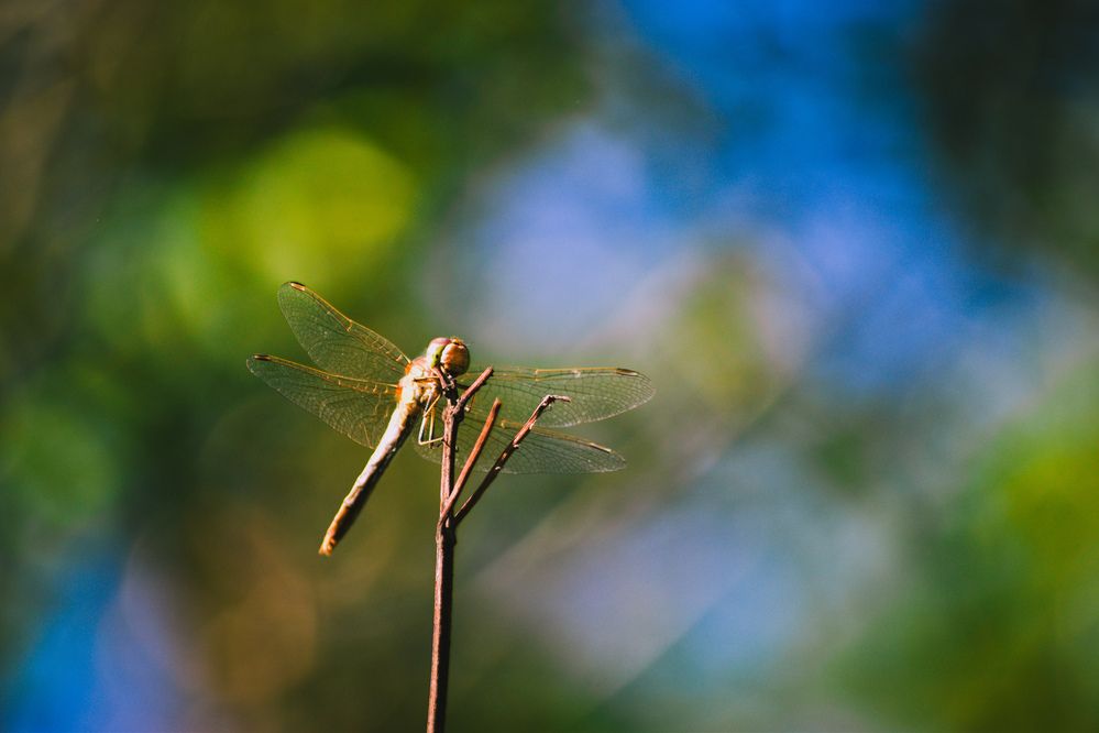 Photograph by Kanat Amre