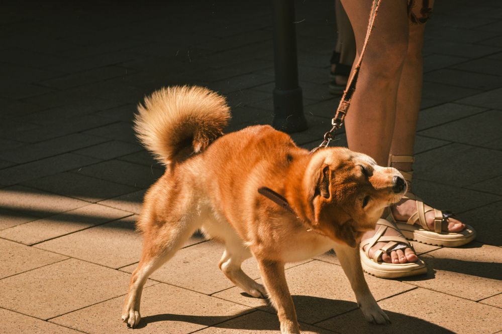 Photograph by Kanat Amre