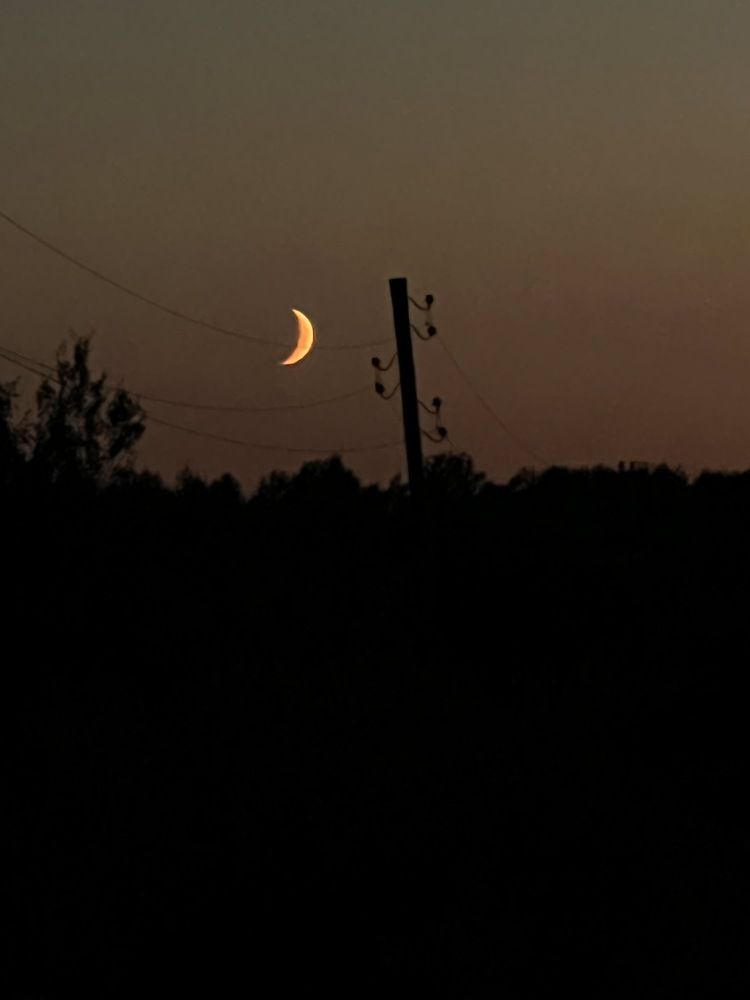 Photograph by Ирина Артюх