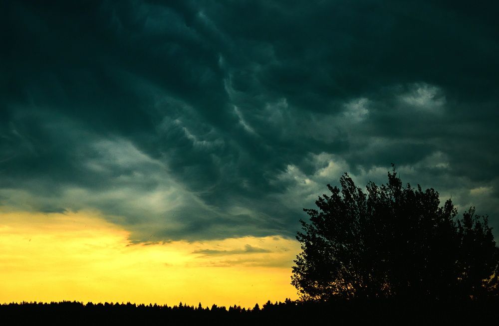 Photograph by Андрей Некрашевич