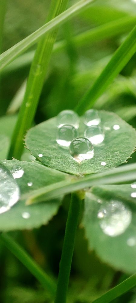 Фотография автора Анастасия Большакова