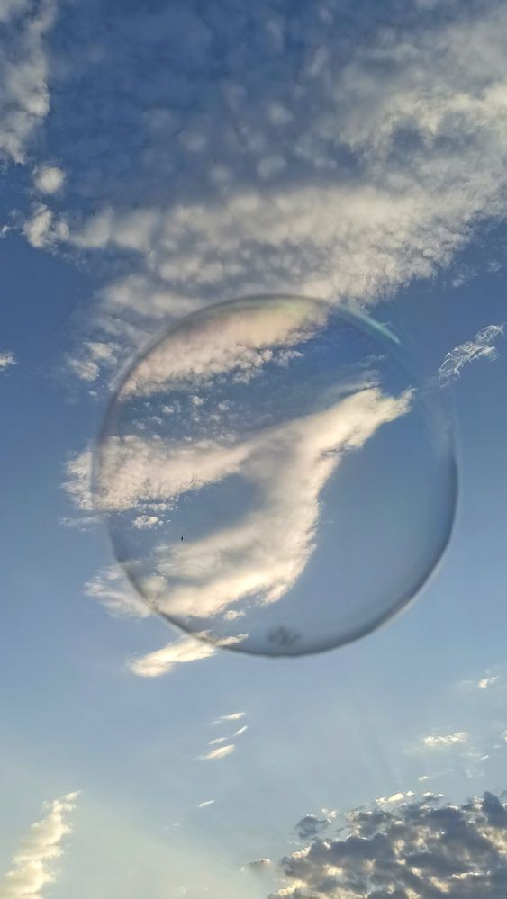 Фотография автора Евгения Владимировна