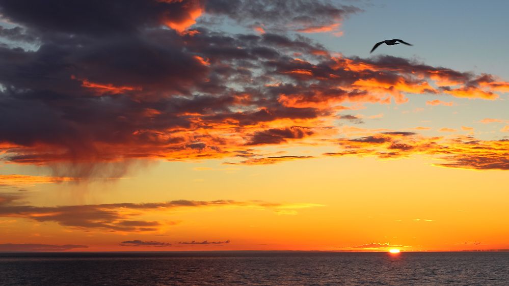 Фотография автора Александр Довганюк