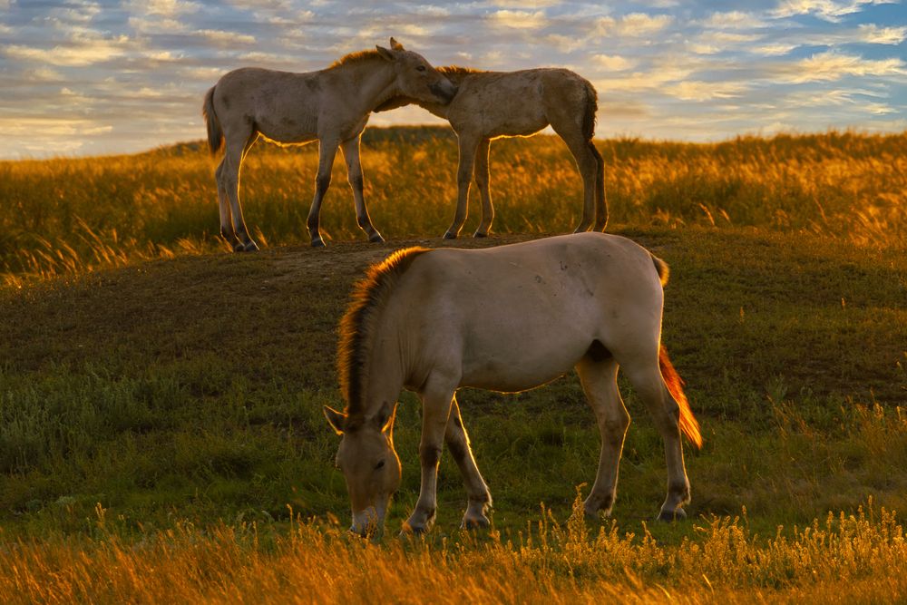 Photograph by Одаренко Ольга