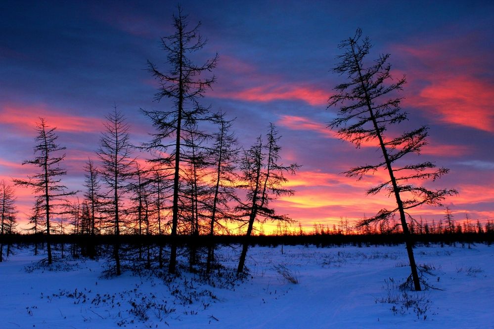 Photograph by Александр Велигура