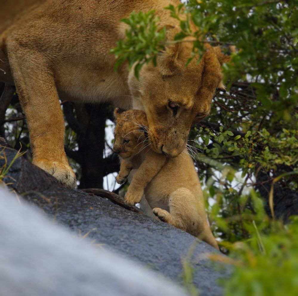 Photograph by Одаренко Ольга