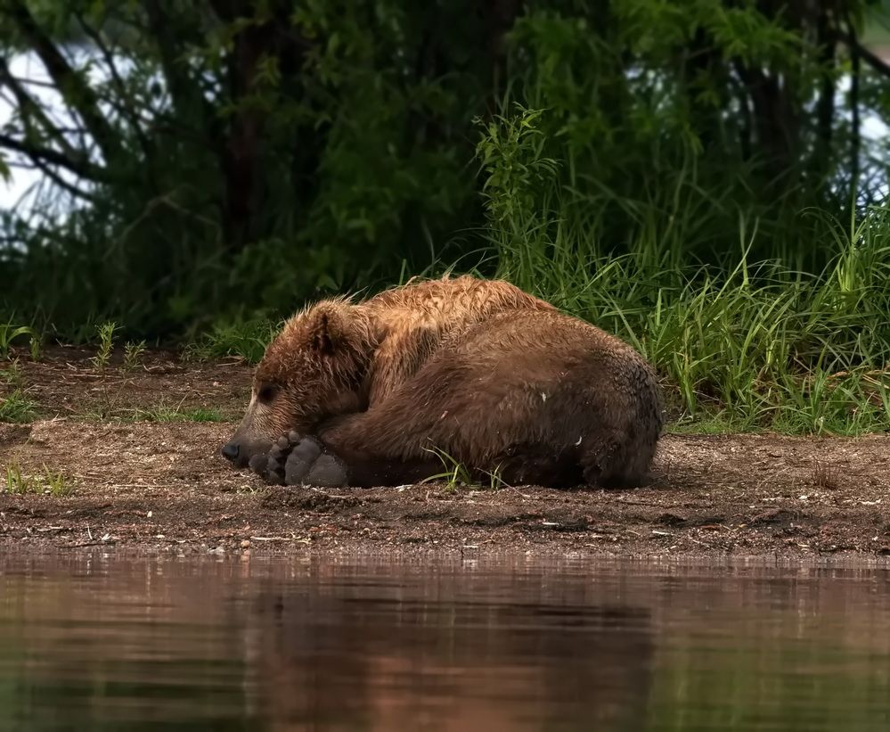 Photograph by Одаренко Ольга