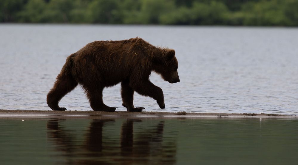 Photograph by Одаренко Ольга