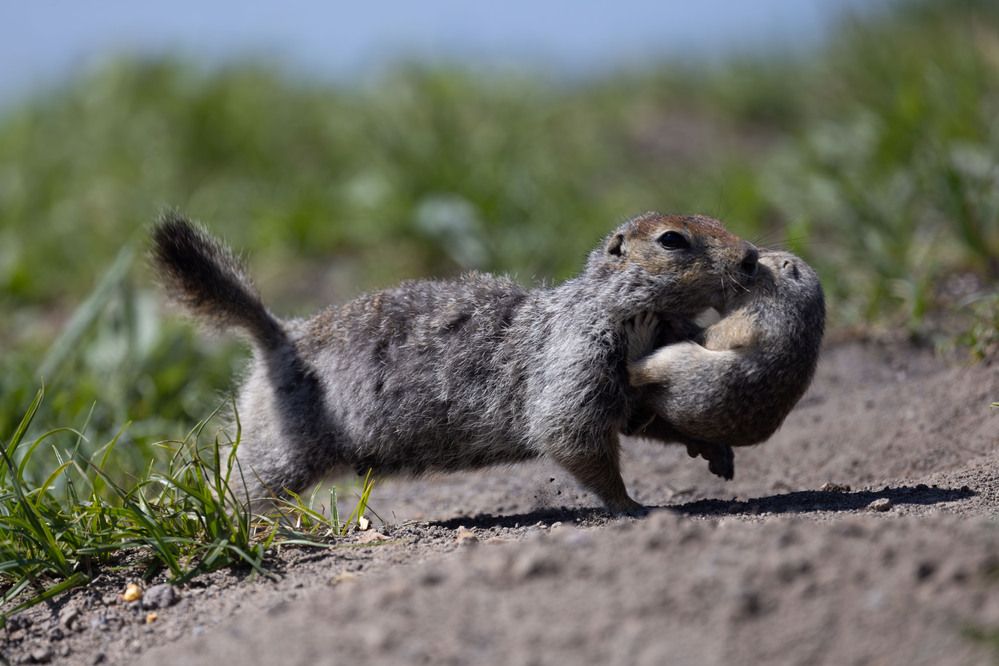 Photograph by Одаренко Ольга