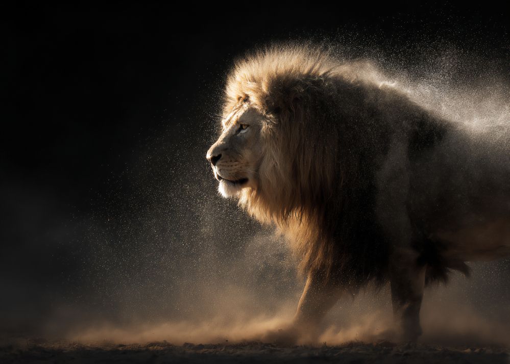 Фотография автора Marina Shipova