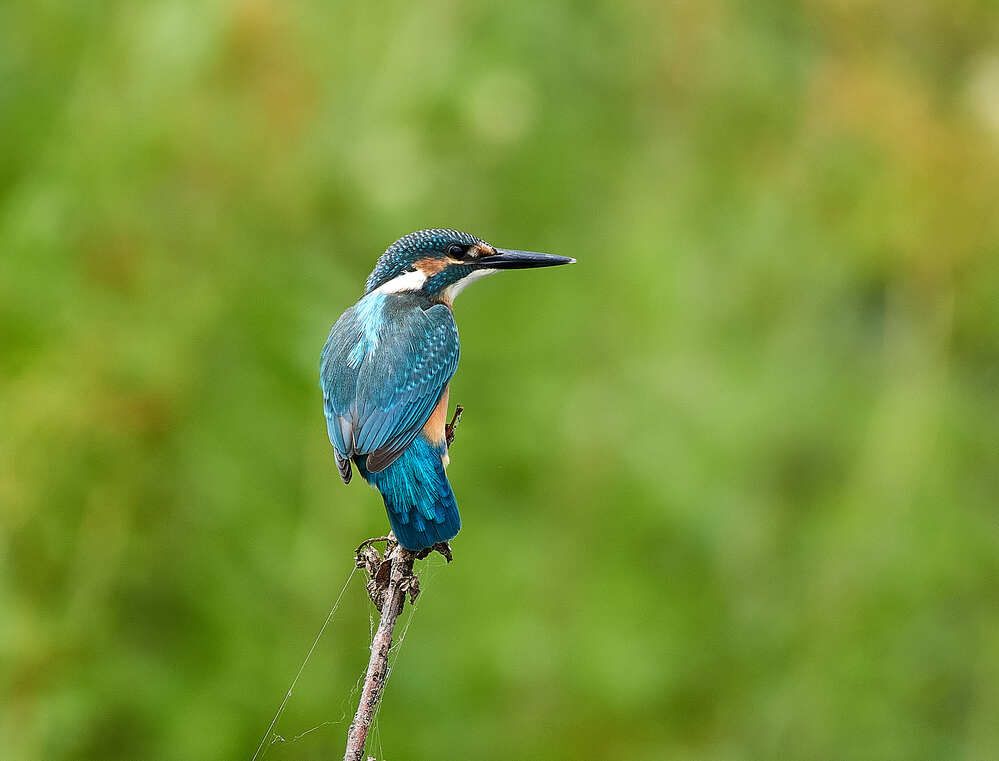 Photograph by Игорь Шабалин