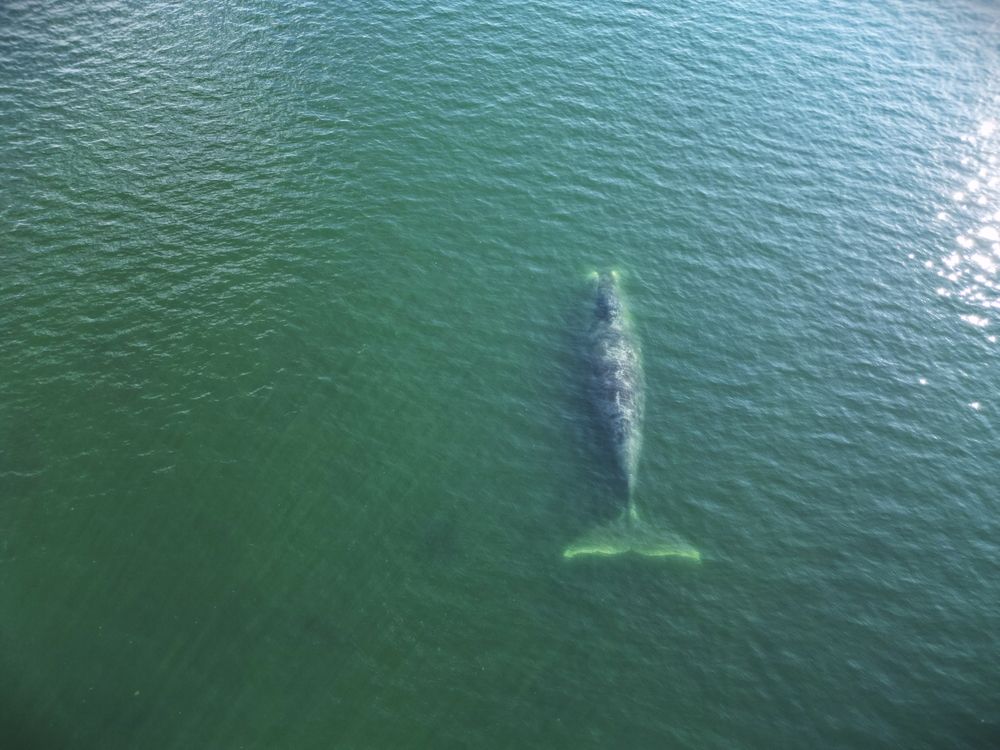 Photograph by Марина Пшен