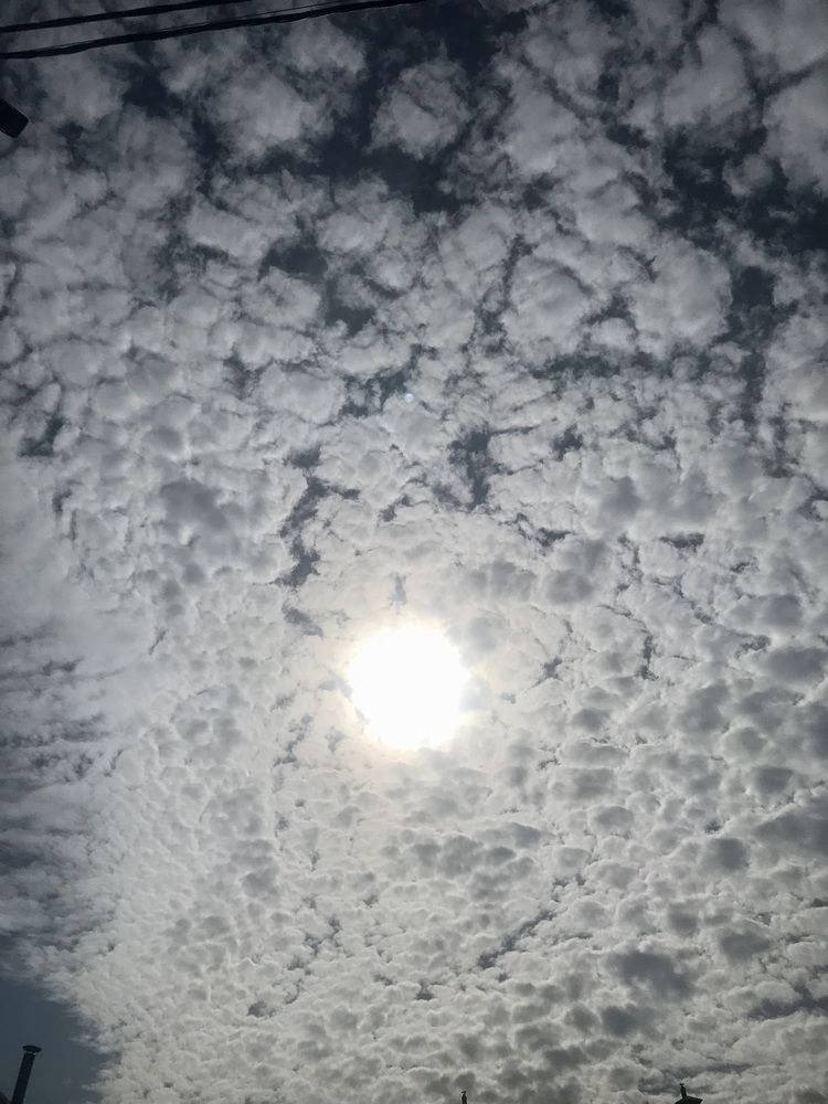 Photograph by Ольга Ручьева
