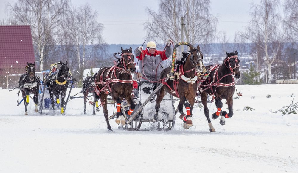 Photograph by Елена Маракулина