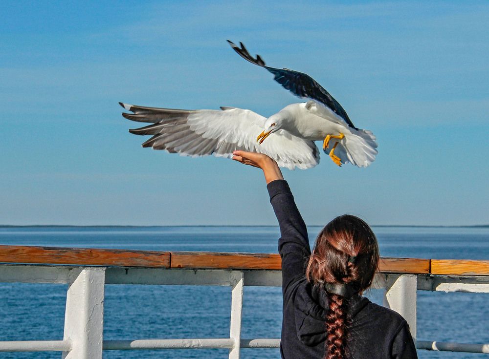 Photograph by Елена Маракулина