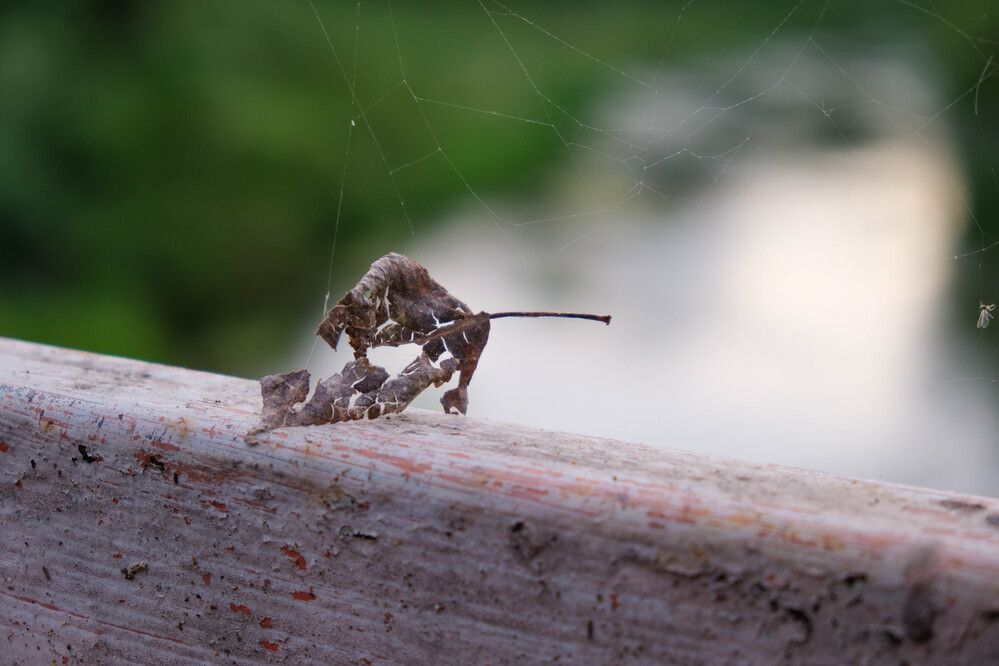 Photograph by Альберт Габбасов