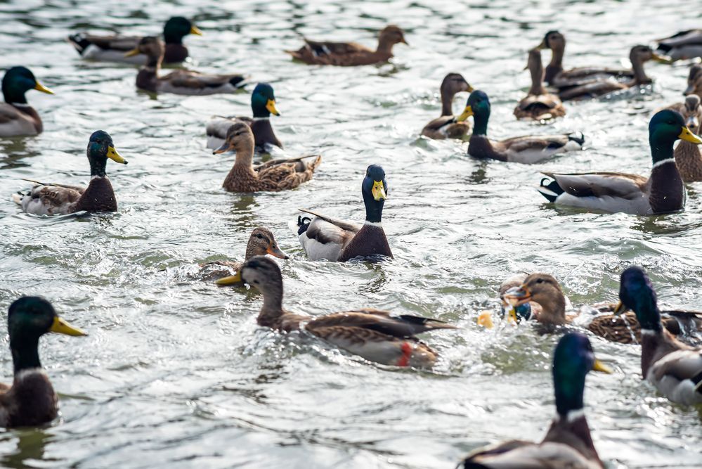 Photograph by Ильдар Шангараев