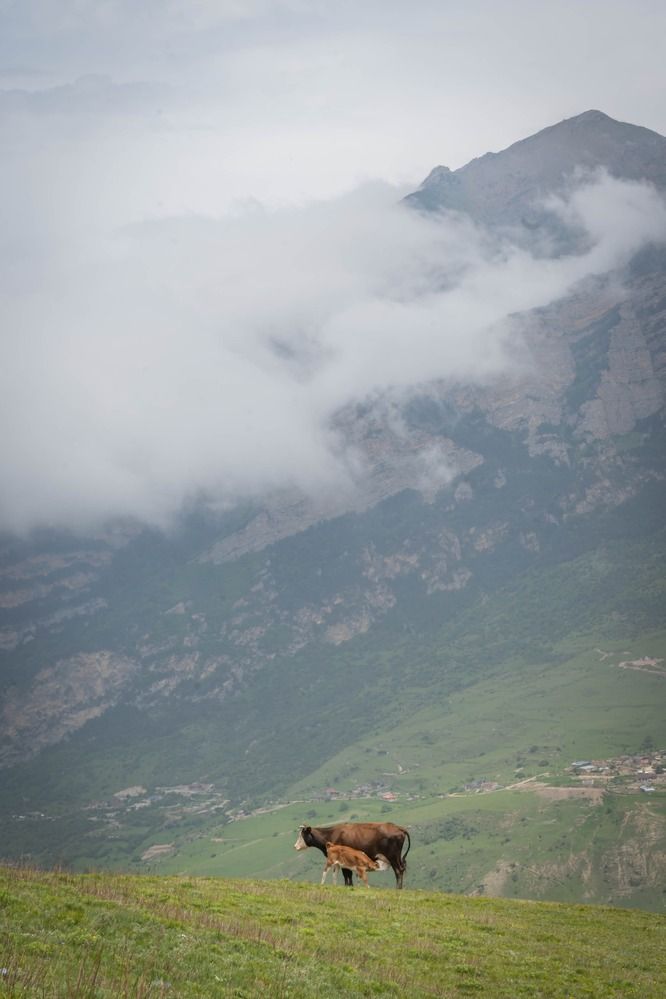 Фотография автора Оксана Белозерская