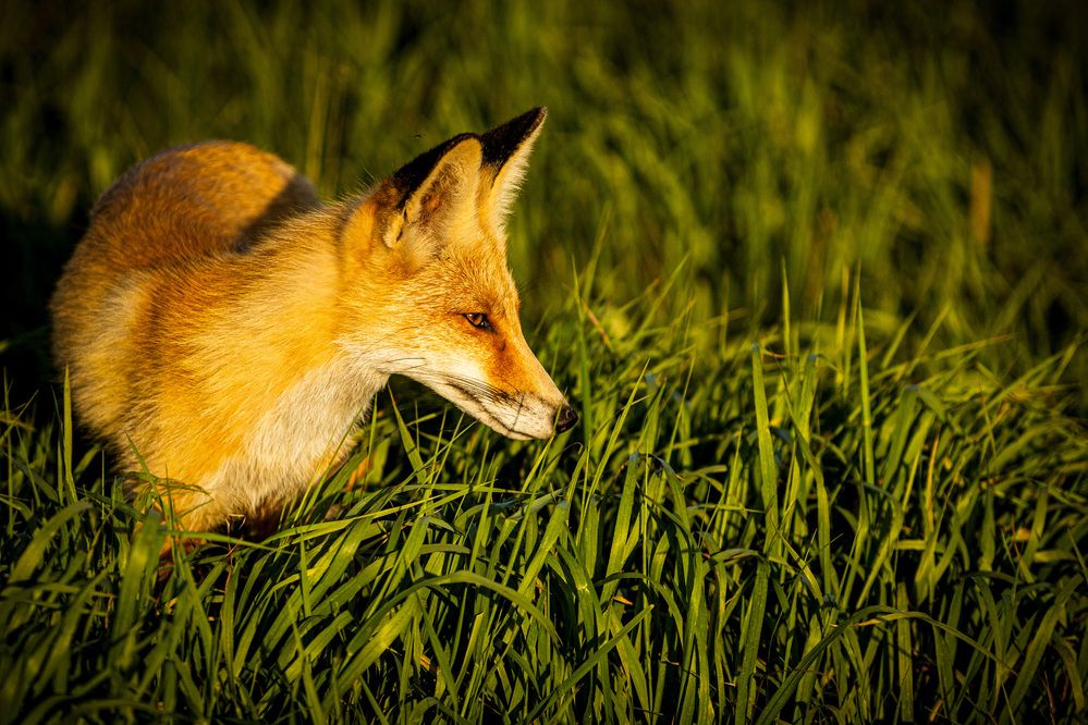 Photograph by Алексей Черников